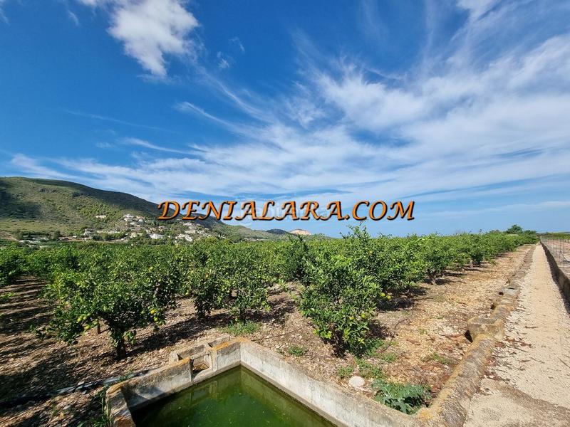 Foto 0d0b9dd1-f051-4cf3-aca1-667a4cfd6e12. Finca rústica a Pego