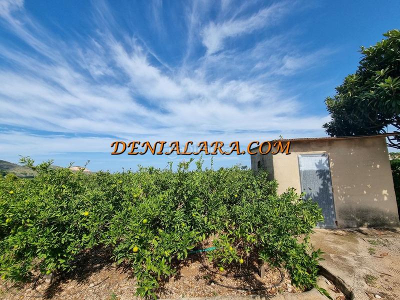 Foto 3e837a0c-c494-4566-a04e-3edde568beb8. Finca rústica a Pego