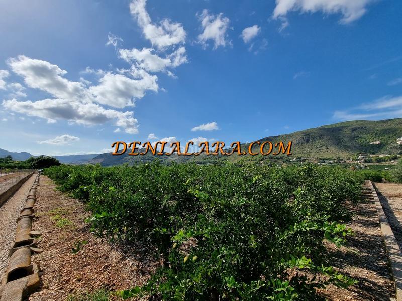 Foto 551788b8-3673-4ea3-8ae9-5bad5800b4cf. Finca rústica a Pego