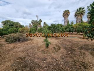Terreny residencial a Les Bassetes - El Marjal. Terreno urbano de 2400 metros en denia