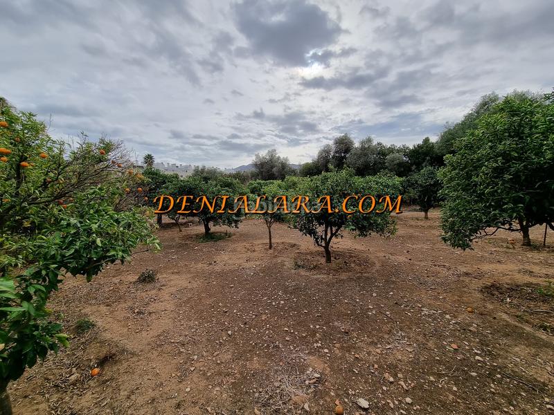 Foto f7dbe746-483c-4b46-ae30-f84331100cb9. Terreny residencial a Les Bassetes - El Marjal Dénia