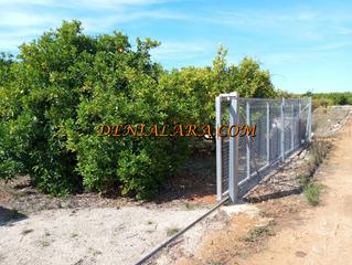 Finca rústica a Pedreguer. Parcela de 3.217m2 totalmente vallada en pedreguer