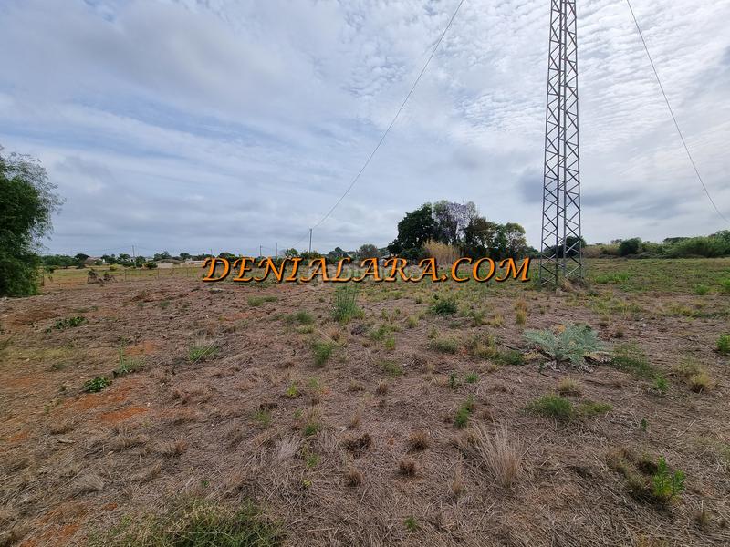Foto d0113bfe-b563-4c54-9a8e-274f431ed6e7. Landgut in La Xara-La Sella Dénia
