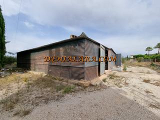 Rent Rural plot in Pedreguer. Alquiler de parcela vallada de 2400 metros en pedreguer
