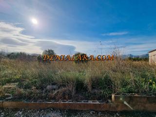 Propriété à Ondara. Se vende parcela rustica de 2081 metros en pamis