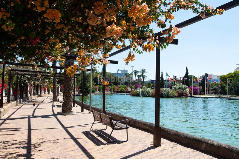 Foto 432c0e2f-d5bf-4a0b-8cca-628000fb49da. Piso en calle joaquín chapaprieta 131 apartamento de dos dormitorios totalmente equipado en Torrevieja