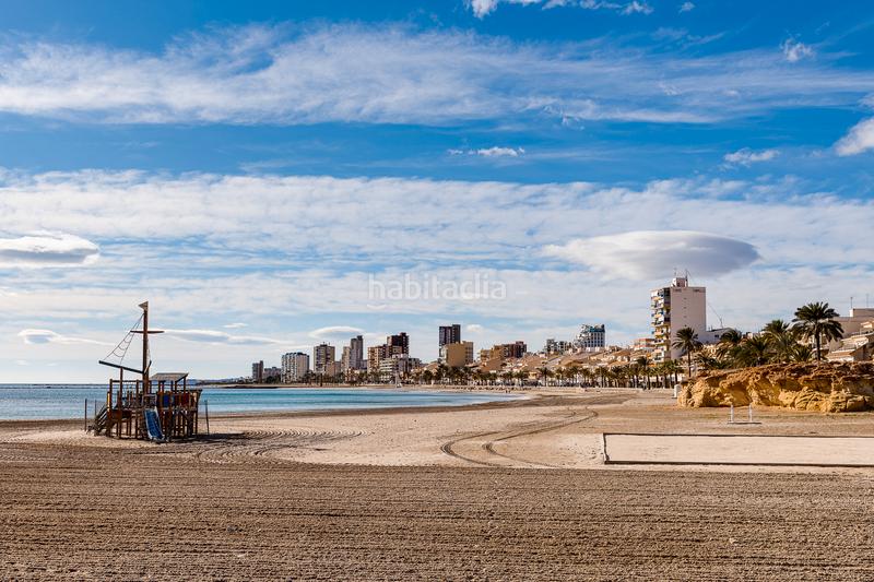 Foto a6280970-c399-480d-8e5a-94378537719b. Dachwohnung in carrer d'azorín 1 in Campello Playa Campello (el)