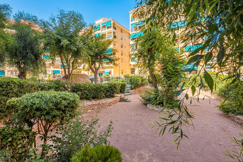 Foto 0b206006-c1a3-4d31-adf6-e6cb3c2d56a2. Apartament a avenida de holanda 38 a Los Europeos Torrevieja