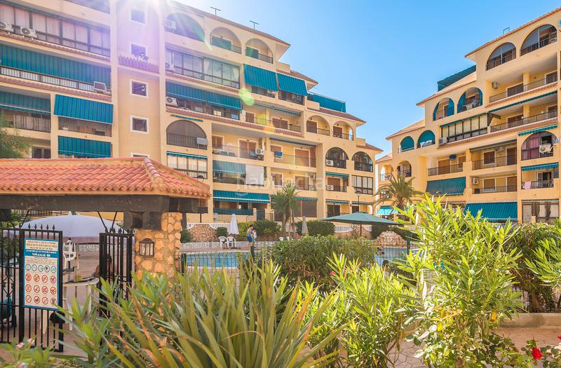 Foto 419a3492-1e41-4752-a65e-b3bdd3251242. Apartament a avenida de holanda 38 a Los Europeos Torrevieja