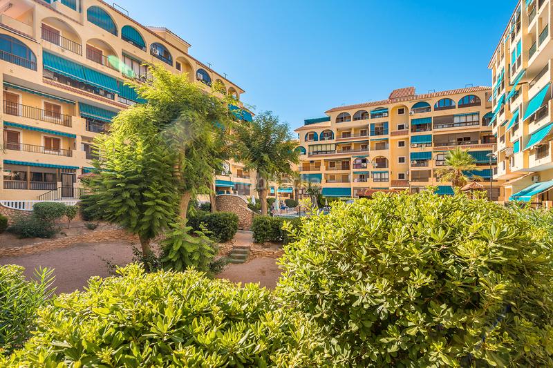 Foto a2330175-23c3-45ab-b2fe-c28effbf8863. Apartament a avenida de holanda 38 a Los Europeos Torrevieja