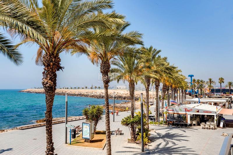 Foto d9056642-ac35-4d81-a1f0-18aedc216d19. Monolocale con piscina in Zona Playa del Cura Torrevieja