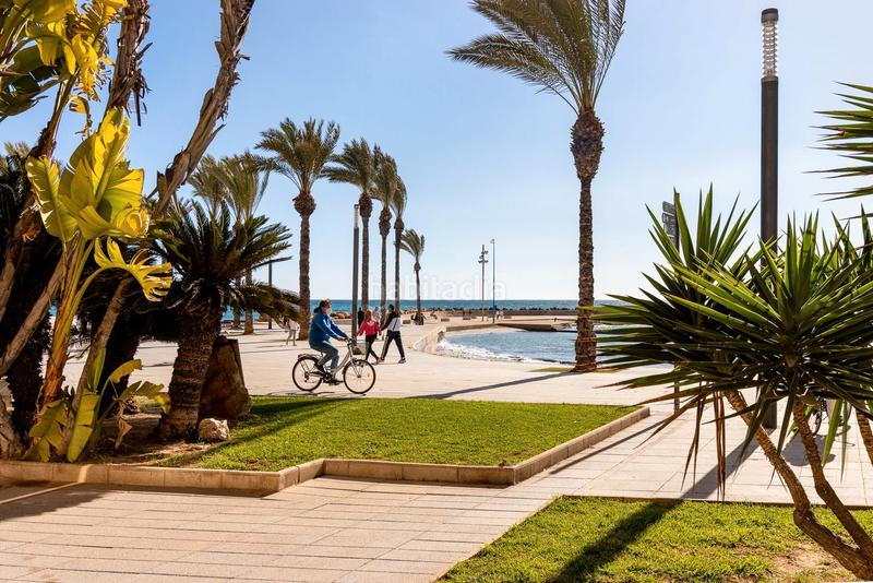 Foto 363a8496-be50-458e-94e3-0ff4e10071f4. Appartamento in Antonio Machado Torrevieja