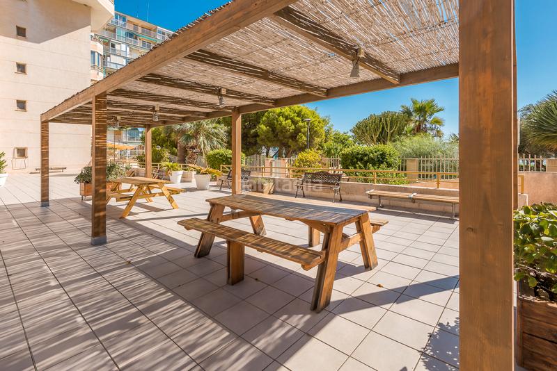 Foto 2ab8b4e9-dd81-4fa6-bd5f-9a31239fd71e. Pis a avenida jaime i el conquistador 7 a Playa Muchavista Campello (el)