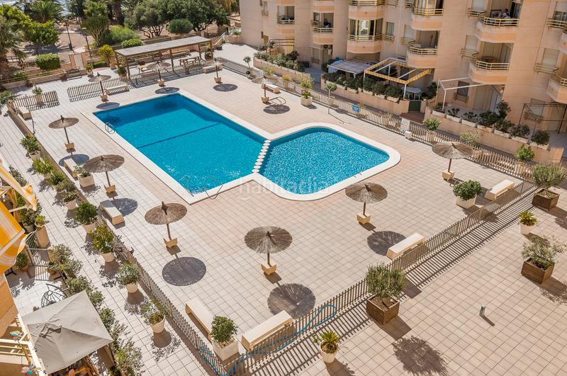 Foto 959a7acb-2180-4c86-acec-2e3075dca94b. Pis a avenida jaime i el conquistador 7 a Playa Muchavista Campello (el)