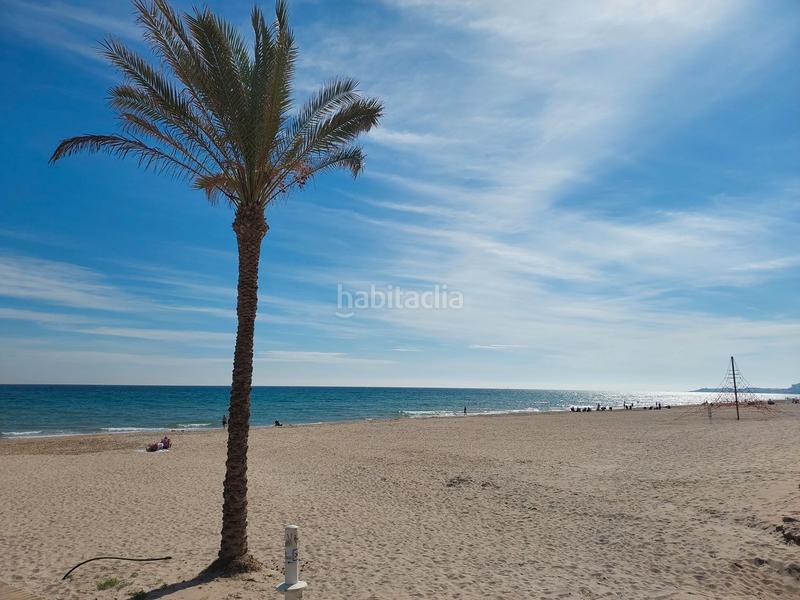 Foto 36fb7311-1146-40cc-a0cc-1d056b3d6421. Pis a avenida jaime i el conquistador 2 a Playa Muchavista Campello (el)