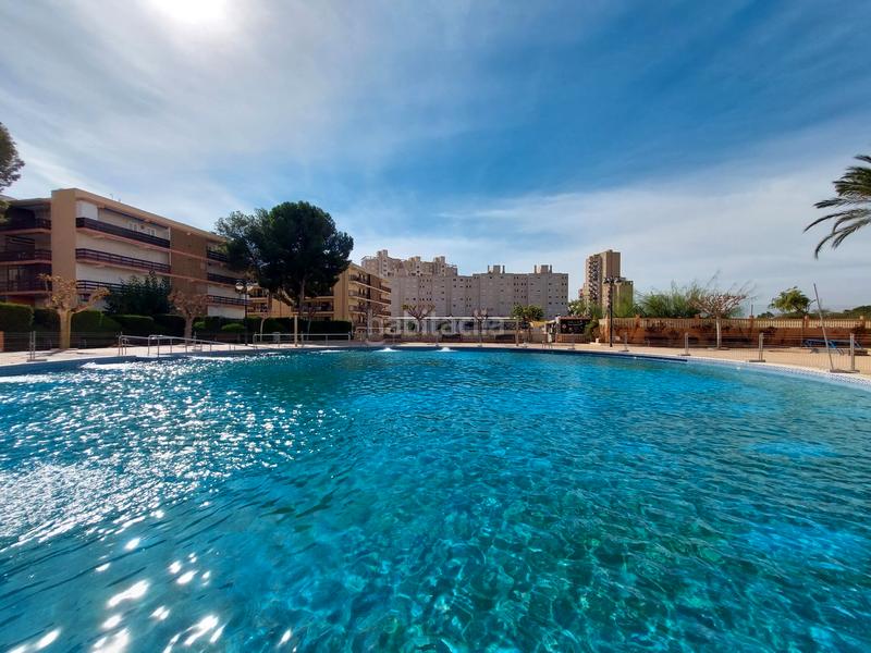 Foto 4809ebf6-031a-40c7-8c03-756acda5c16d. Pis a avenida jaime i el conquistador 2 a Playa Muchavista Campello (el)