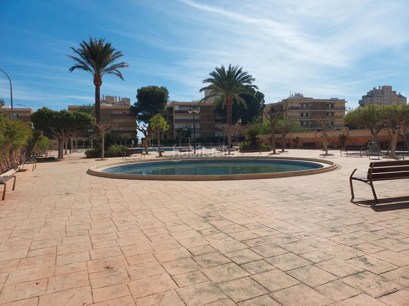 Foto 65af6734-b3a7-4cc9-b842-8b93e0671f4d. Pis a avenida jaime i el conquistador 2 a Playa Muchavista Campello (el)