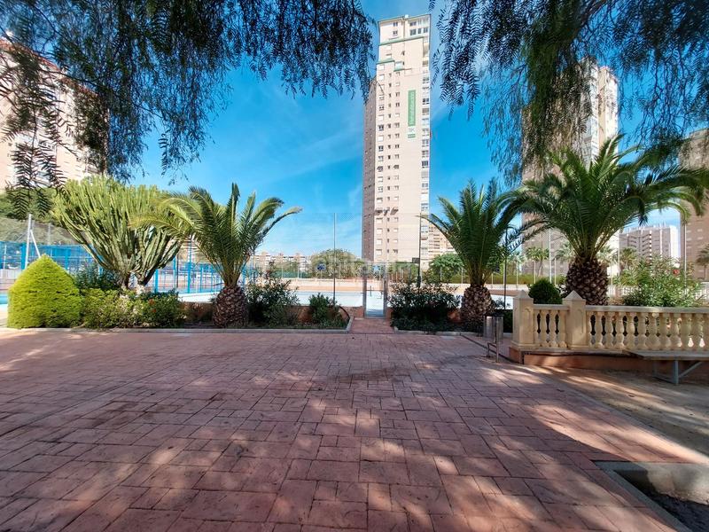 Foto c0dddc71-adb5-4c64-8d26-68608a54ac04. Pis a avenida jaime i el conquistador 2 a Playa Muchavista Campello (el)