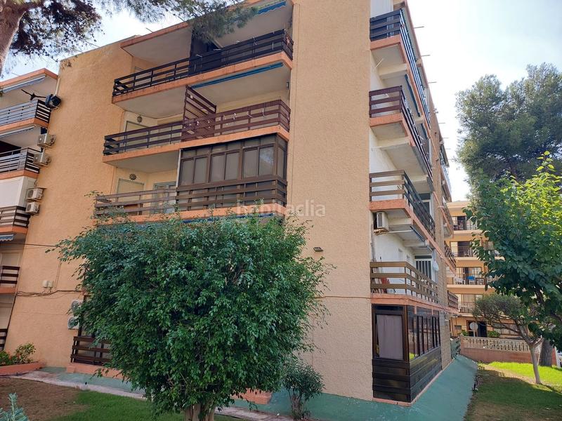 Foto cc08fe63-7b57-4685-8e40-2488caa72a1a. Pis a avenida jaime i el conquistador 2 a Playa Muchavista Campello (el)