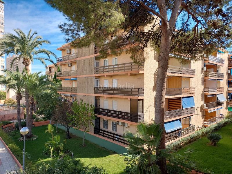 Foto eb27e619-44e1-4532-a60e-57af2bcb12b5. Pis a avenida jaime i el conquistador 2 a Playa Muchavista Campello (el)