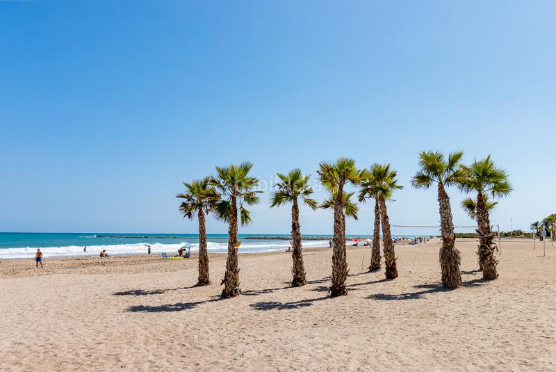 Foto c69f8a02-70c3-4091-94b8-2eabffc75992. Attique dans carrer sant bartomeu 120 dans Campello Playa Campello (el)