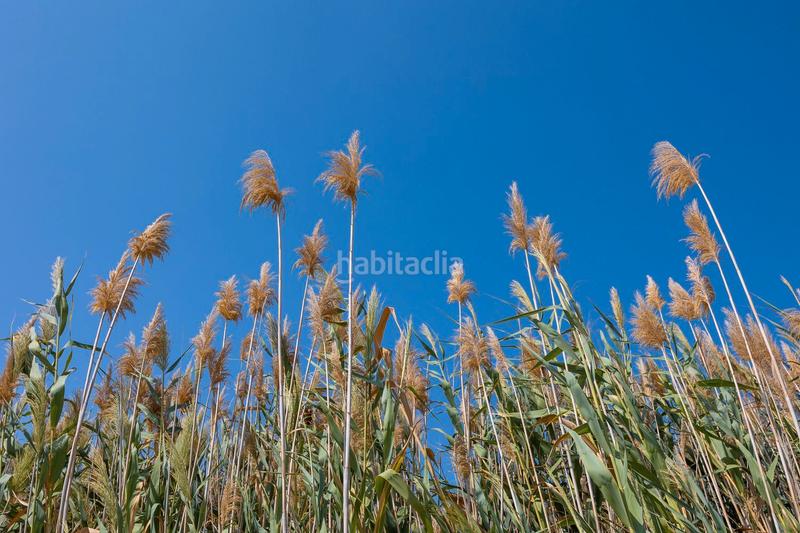 Foto 7fc208c8-7545-4c82-9dd5-c024ee43d221. Casa a schiera in calle cesar rodriguez mateo 116 in Torrevieja