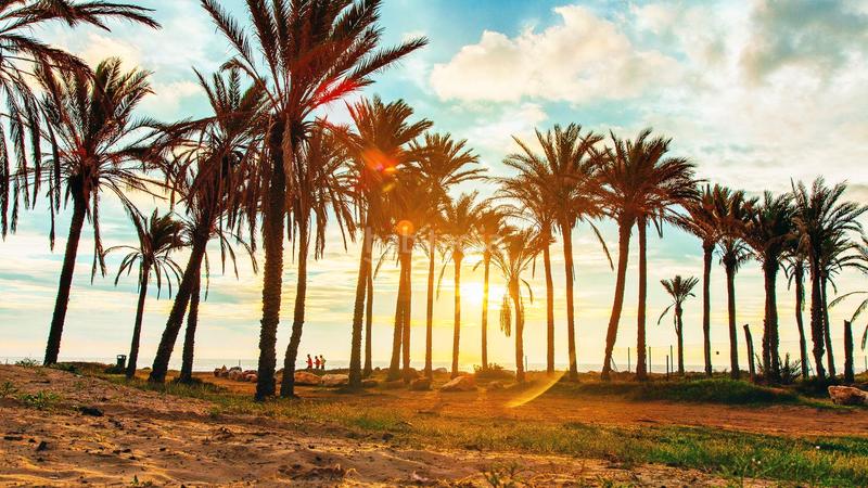 Foto 15aa7ac1-7327-4868-83f2-25aad7a80c95. Semi detached house in avenida de londres 42 in Los Balcones y los Altos Orihuela