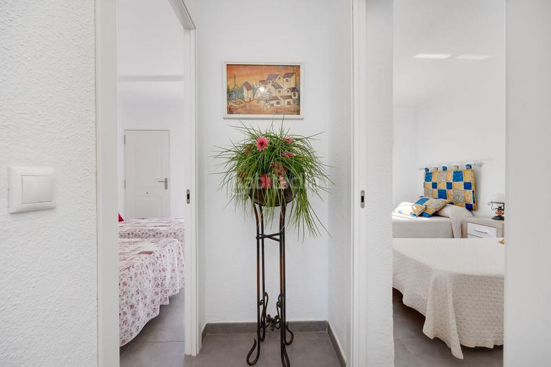 Foto e565000c-cebe-45af-9866-77ed31d56957. Casa adossada a calle doctor alexander fleming 49 a Torrevieja