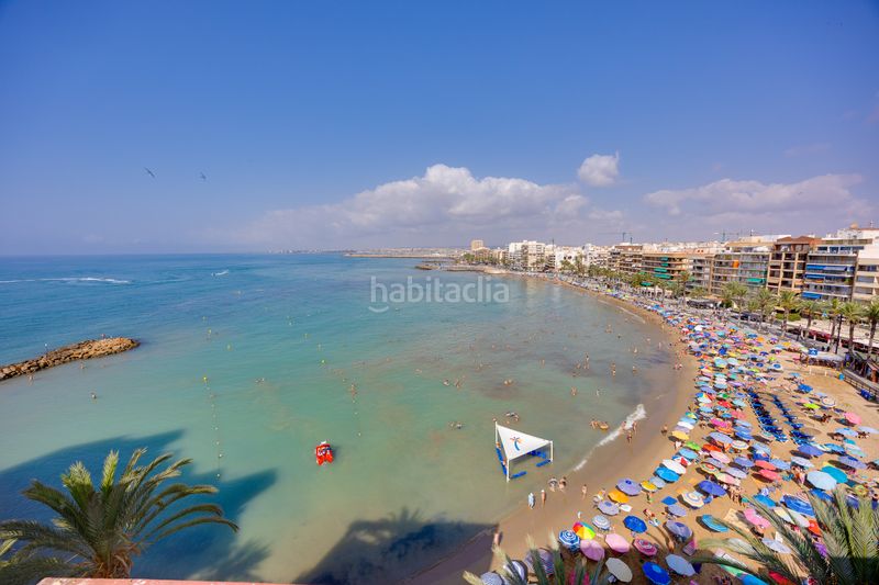 Foto 4635e287-300f-49dd-a8de-9810515b3b09. Pis a calle timonel 2 a Zona Playa del Cura Torrevieja