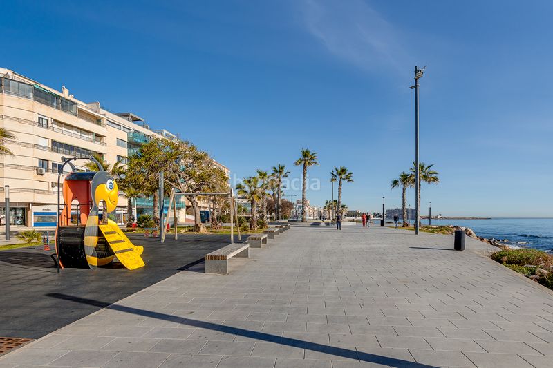 Foto 5ec5dd7c-b891-44c3-8e33-3ee8b9fbb856. Pis a calle timonel 2 a Zona Playa del Cura Torrevieja