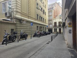 Pis  De berna