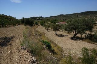 Residential Plot in Cv775