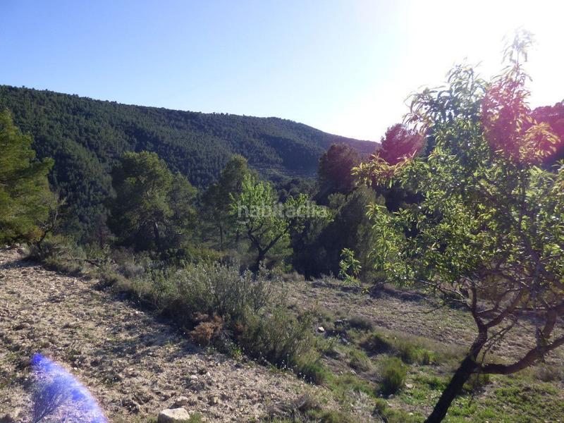 Foto 4784717d-17bb-4d9b-bdbf-ae2a33b5a1ba. Mas dans viola 10 dans Torre de les Maçanes (la)