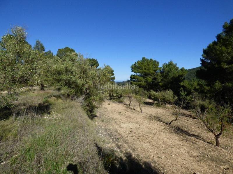 Foto 5079b28a-c458-4d60-acf1-ddff4afa1a12. Mas dans viola 10 dans Torre de les Maçanes (la)