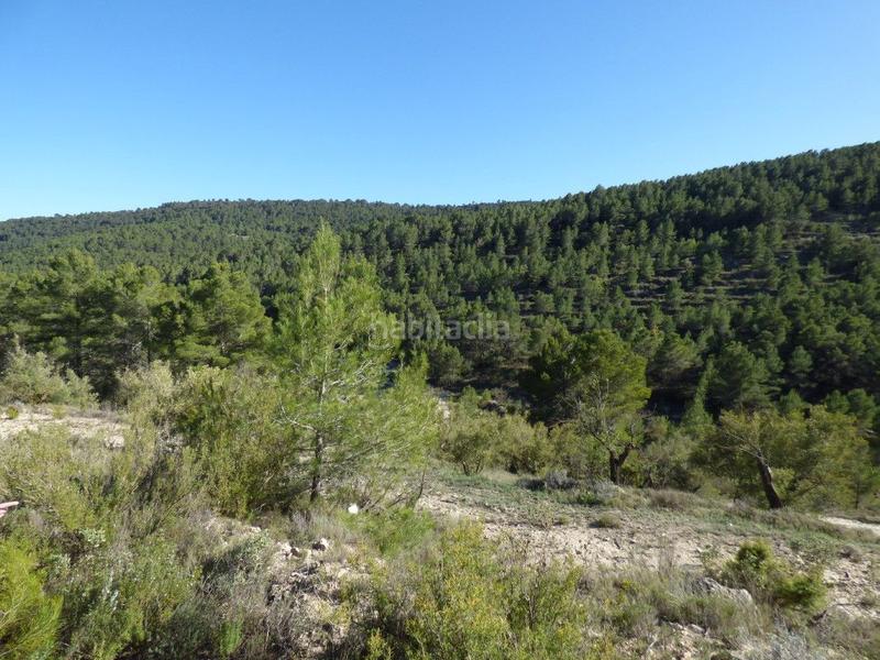 Foto 618c4041-acd0-462e-aeb6-7e85854041cf. Mas dans viola 10 dans Torre de les Maçanes (la)