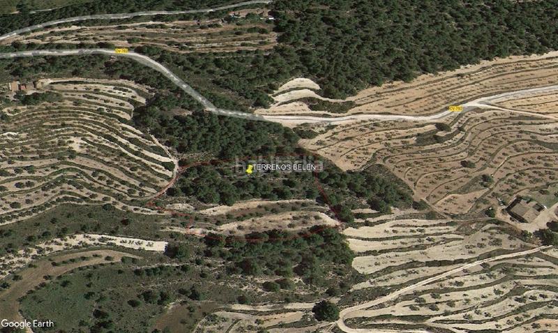 Foto f3ff5bdc-86ad-48e9-acdc-ce0ccfc32ea7. Mas dans viola 10 dans Torre de les Maçanes (la)