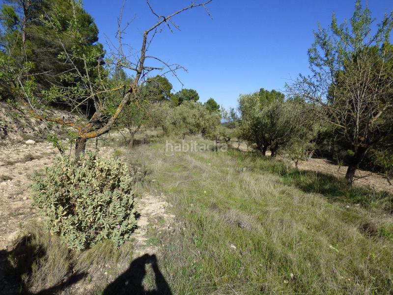 Foto faac9ff6-f6d9-4938-9550-74d34596b08e. Mas dans viola 10 dans Torre de les Maçanes (la)