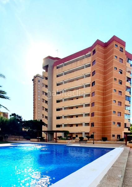 Foto d57e5139-ee4b-4d1a-8868-d422d43b048c. Apartament amb piscina a Playa Poniente Benidorm