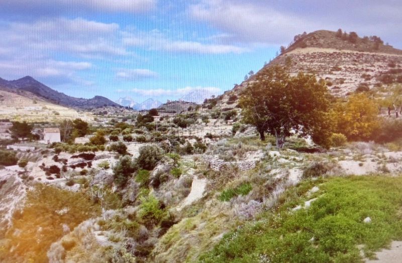 Foto 1f466828-a4ef-4872-8dcd-3e529153311e. Casa a Relleu