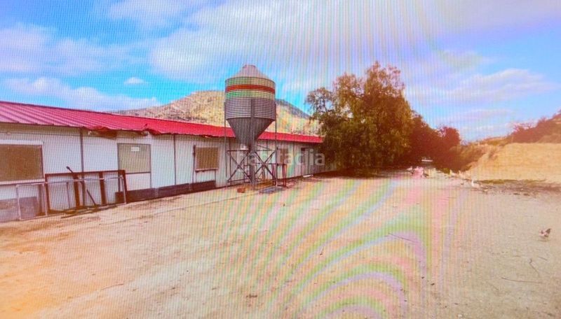 Foto ce9be214-1774-44dc-ba3a-8c76356be159. Casa a Relleu