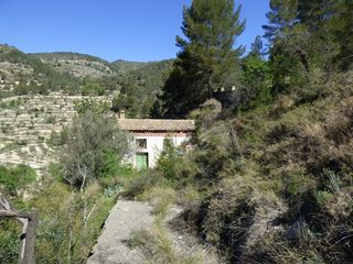Masia en Cv778 4. Finca para reformar