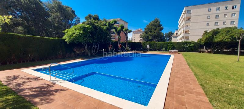 Foto 30ab7b9d-0513-45f9-aa6d-865dda7cc824. Estudi amb piscina a Passeig Marítim Miami Platja