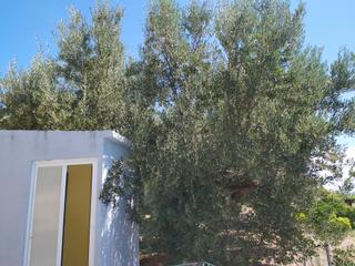 Chalet  N/a