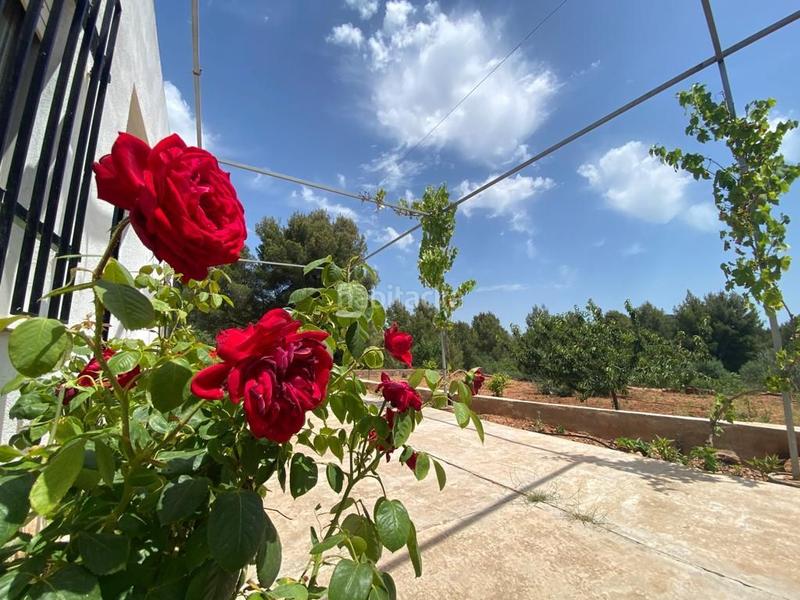 Foto 9357b676-441d-40b2-9f94-2149ed51029d. Casale in Onda