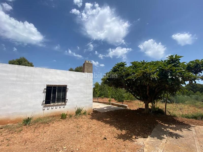 Foto 9c952882-53e7-49eb-b29a-c32696f16176. Casale in Onda