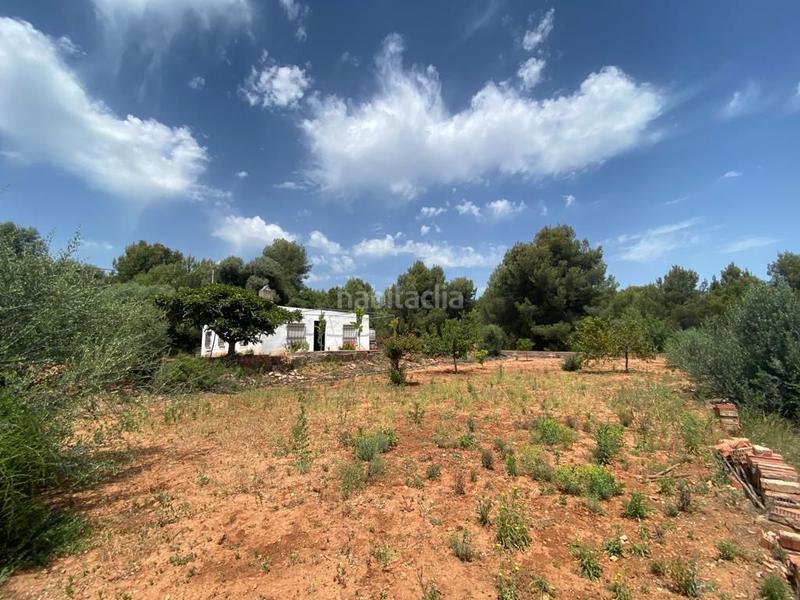 Foto d240ede7-d1d1-433d-8024-46bb3b415639. Casale in Onda