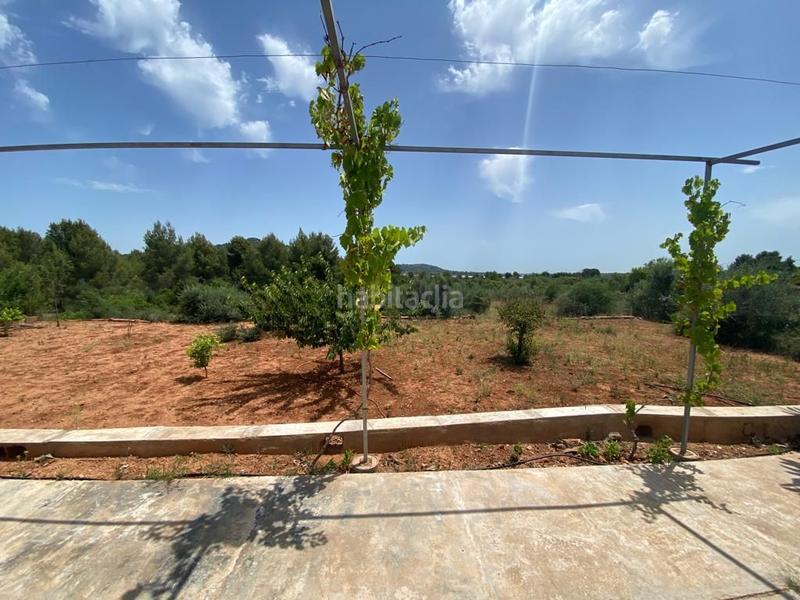 Foto 1f8ac707-9840-465d-bab5-3677ce4f18b3. Mas dans Onda