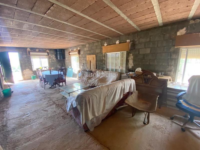 Foto 338702d7-e967-4385-a3fb-b9e8e7f8bf01. Mas dans Onda