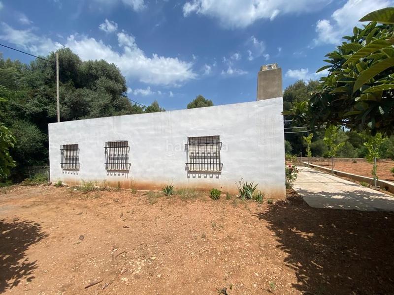 Foto d9eee8b1-9e31-40f9-8a79-8c0017d3897f. Mas dans Onda