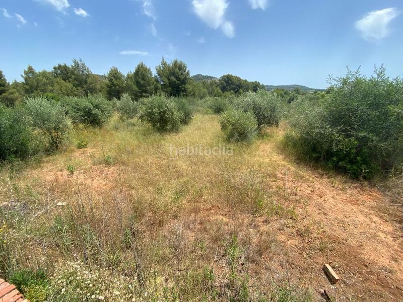 Foto 1725efa8-5279-4902-b75d-85b29df30eaa. Masia a Onda